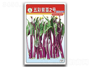 �����޷2̖-��̦�N��-�d�߷N�I