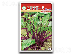 �����޷1̖-��̦�N��-�d�߷N�I