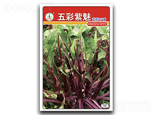 �������-��̦�N��-�d�߷N�I