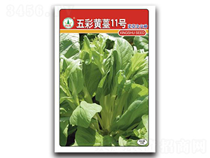 ����S޷11̖-��̦�N��-�d�߷N�I