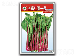 ��ʼț1̖-��̦�N��-�d�߷N�I