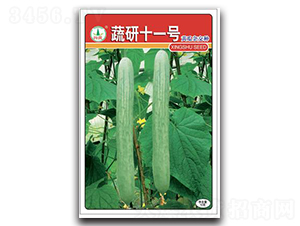 ����11̖-�S�ϷN��-�d�߷N�I