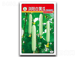 �gꖰ��S��-�S�ϷN��-�d�߷N�I