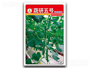 ������̖-�S�ϷN��-�d�߷N�I