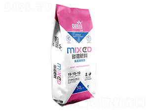 ���ް��������ؓ����19-19-19-�Wِ˹