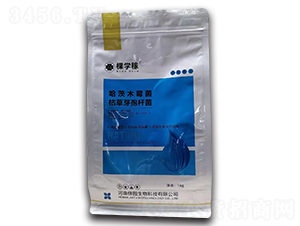 ����ľù��+�ݲ�ѿ�ߗU��-�ÌW(xu��)��