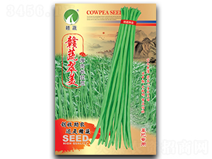 �M�ߴ���-�����N��-�M�߷N�I