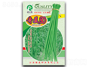 ����80-�����N��-�M�߷N�I