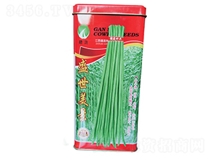 ʢ������-�����N��-�M�߷N�I