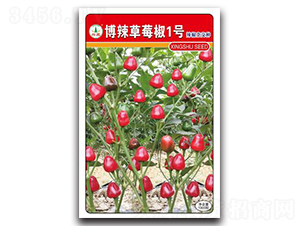 ������ݮ��1̖-�����N��-�d�߷N�I