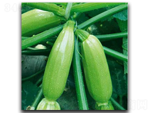 ������-�����J�N��-�մ��r�I