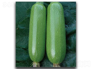 ������̖-�����J�N��-�մ��r�I