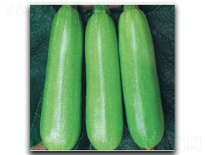 ��������-�����J�N��-�մ��r�I