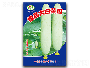 �OƷ����S��-�S�ϷN��-���ŷN�I