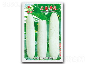 ����S��-�S�ϷN��-���ŷN�I