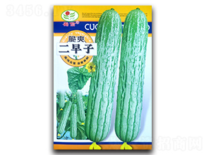 ��ˬ������-�S�ϷN��-���ŷN�I