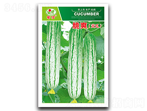 ��ˬ-�S�ϷN��-���ŷN�I