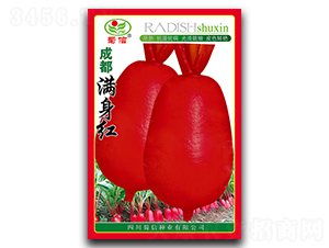 �ɶ��M���t-�}���N��-���ŷN�I