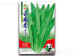 ������-�����˷N��-���ŷN�I