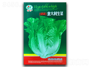 ���������-���˷N��-���ŷN�I