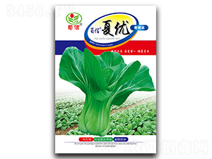 �����ă�-��˷N��-���ŷN�I