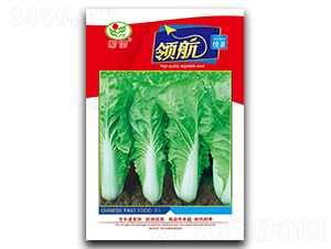 �I�����-��˷N��-���ŷN�I