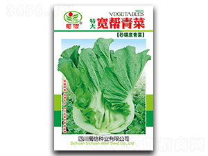 �������-��˷N��-���ŷN�I