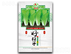 ������-��˷N��-���ŷN�I