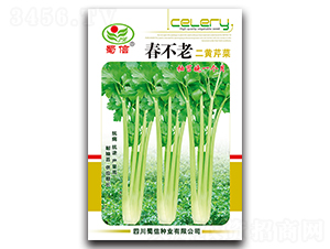 春不老二黃芹菜-芹菜種子-蜀信種業