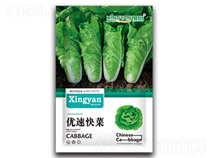 ���ٿ��-��˷N��-���зN�I