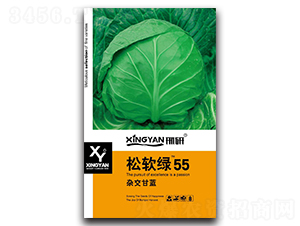 ��ܛ�G55-���{�N��-���зN�I