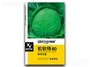 ��ܛ�G60-���{�N��-���зN�I