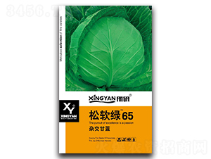 ��ܛ�G65-���{(l��n)�N��-���зN�I(y��)