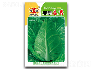 ���д���-���{(l��n)�N��-���зN�I(y��)