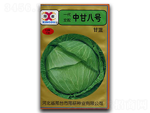 �иʰ�̖-���{(l��n)�N��-���зN�I(y��)