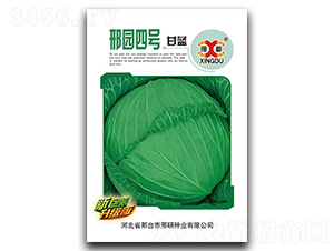 �ψA��̖-���{(l��n)�N��-���зN�I(y��)