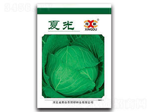 �Ĺ�-���{(l��n)�N��-���зN�I(y��)