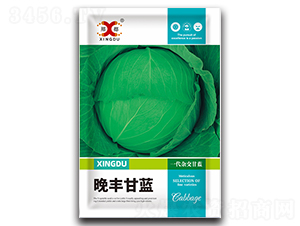 ���S-���{(l��n)�N��-���зN�I(y��)