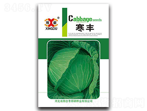 ���S-���{(l��n)�N��-���зN�I(y��)