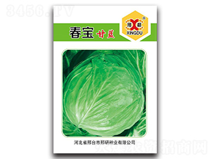 ����-���{(l��n)�N��-���зN�I(y��)