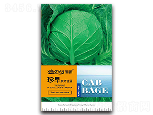 ����-���{(l��n)�N��-���зN�I(y��)