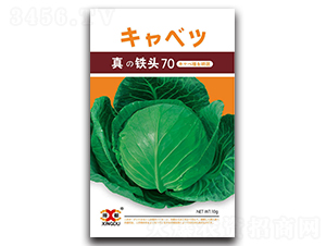 ���F�^70-���{(l��n)�N��-���зN�I(y��)