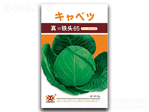 ���F�^65-���{(l��n)�N��-���зN�I(y��)