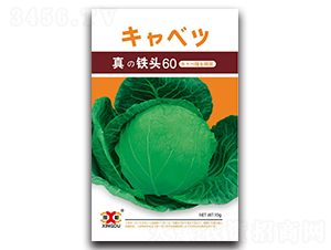 ���F�^60-���{(l��n)�N��-���зN�I(y��)