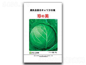 ����-���{(l��n)�N��-���зN�I(y��)