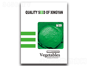 �LҰ-���{(l��n)�N��-���зN�I(y��)