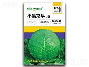 С�ھ���-���{(l��n)�N��-���зN�I(y��)