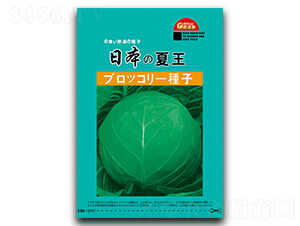 �ձ�����-���{(l��n)�N��-���зN�I(y��)