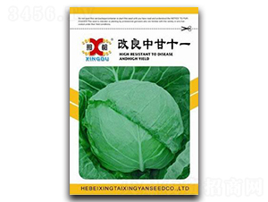 �����и�ʮһ̖(h��o)-���{(l��n)�N��-���зN�I(y��)