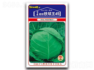 ����(j��)�F����45-���{(l��n)�N��-���зN�I(y��)